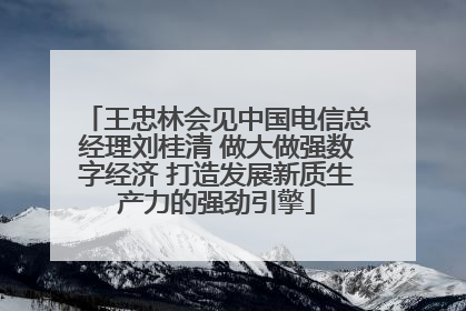 王忠林会见中国电信总经理刘桂清 做大做强数字经济 打造发展新质生产力的强劲引擎