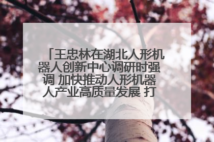王忠林在湖北人形机器人创新中心调研时强调 加快推动人形机器人产业高质量发展 打造具有全国影响力的研发创新基地