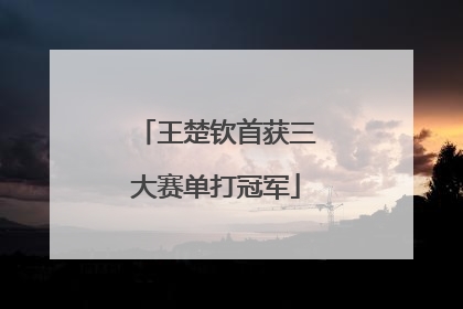 王楚钦首获三大赛单打冠军