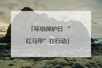 环境保护日 “红马甲”在行动