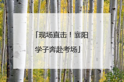 现场直击！襄阳学子奔赴考场