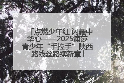 点燃少年红 闪耀中华心——2025浦莎青少年“手拉手”陕西路线丝路续新章
