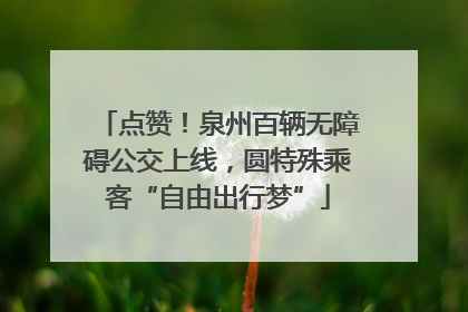 点赞！泉州百辆无障碍公交上线，圆特殊乘客“自由出行梦”