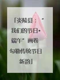 炎陵县：“我们的节日•端午”画卷 勾勒传统节日新韵