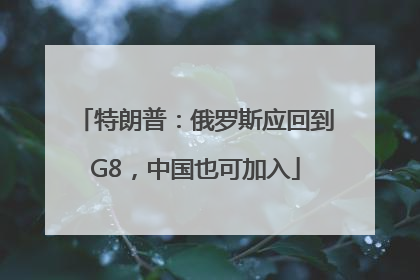 特朗普：俄罗斯应回到G8，中国也可加入