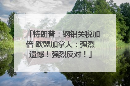特朗普：钢铝关税加倍 欧盟加拿大：强烈遗憾！强烈反对！