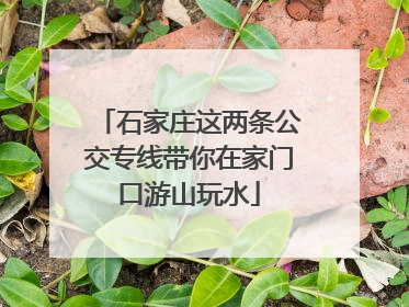 石家庄这两条公交专线带你在家门口游山玩水