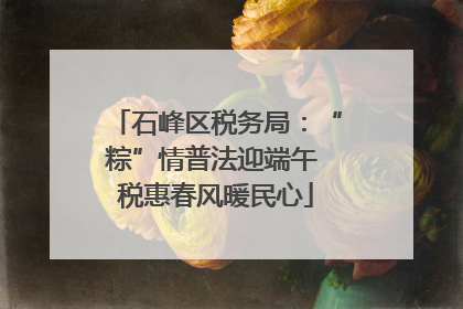 石峰区税务局：“粽”情普法迎端午 税惠春风暖民心