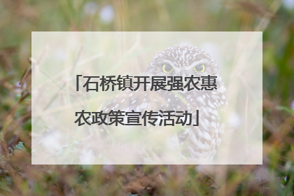 石桥镇开展强农惠农政策宣传活动