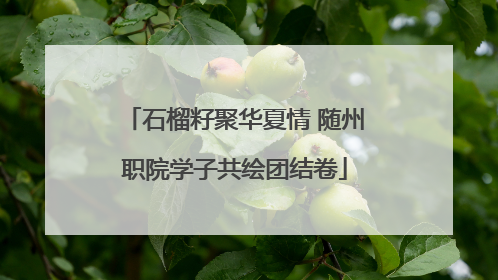 石榴籽聚华夏情 随州职院学子共绘团结卷