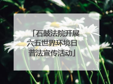 石鼓法院开展六五世界环境日普法宣传活动
