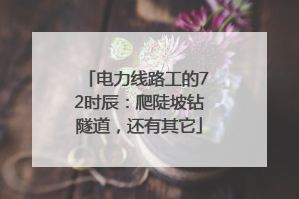 电力线路工的72时辰：爬陡坡钻隧道，还有其它