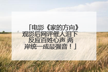 电影《家的方向》观影后网评催人泪下 反应百姓心声 两岸统一成最强音！