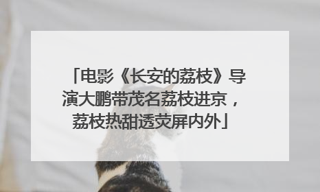 电影《长安的荔枝》导演大鹏带茂名荔枝进京，荔枝热甜透荧屏内外
