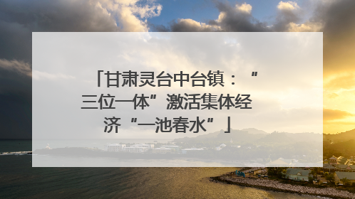 甘肃灵台中台镇：“三位一体”激活集体经济“一池春水”