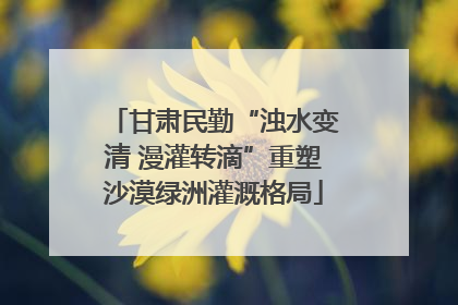 甘肃民勤“浊水变清 漫灌转滴”重塑沙漠绿洲灌溉格局