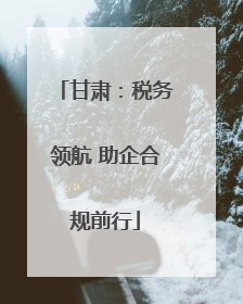 甘肃：税务领航 助企合规前行