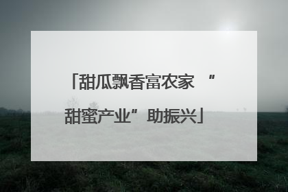 甜瓜飘香富农家 “甜蜜产业”助振兴