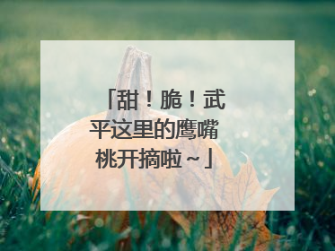 甜！脆！武平这里的鹰嘴桃开摘啦～