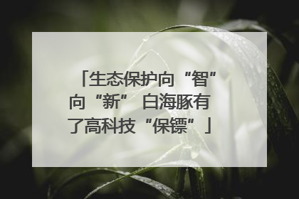 生态保护向“智”向“新” 白海豚有了高科技“保镖”