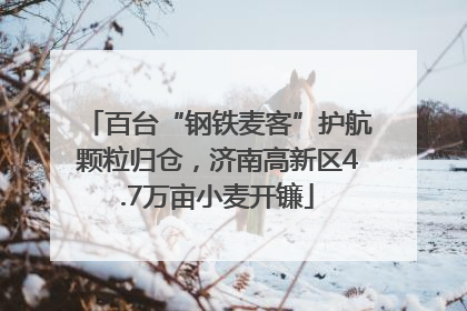 百台“钢铁麦客”护航颗粒归仓，济南高新区4.7万亩小麦开镰
