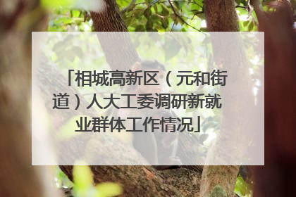 相城高新区（元和街道）人大工委调研新就业群体工作情况