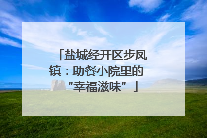 盐城经开区步凤镇：助餐小院里的“幸福滋味”