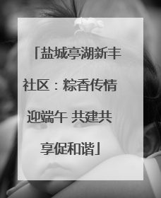 盐城亭湖新丰社区：粽香传情迎端午 共建共享促和谐
