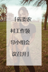省委农村工作领导小组会议召开
