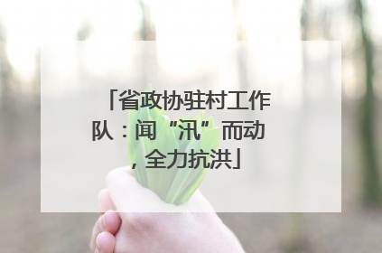 省政协驻村工作队：闻“汛”而动，全力抗洪
