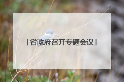 省政府召开专题会议