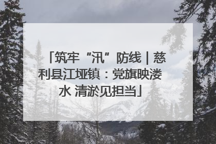 筑牢“汛”防线｜慈利县江垭镇：党旗映溇水 清淤见担当