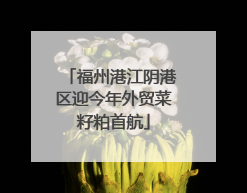 福州港江阴港区迎今年外贸菜籽粕首航