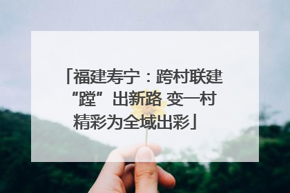 福建寿宁：跨村联建“蹚”出新路 变一村精彩为全域出彩