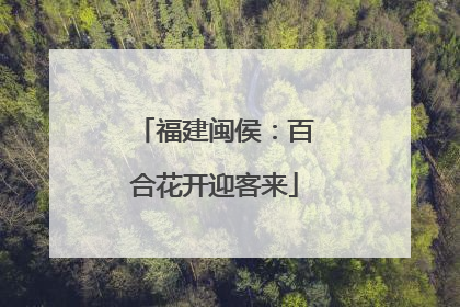 福建闽侯：百合花开迎客来