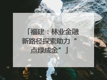福建：林业金融新路径探索助力“点绿成金”