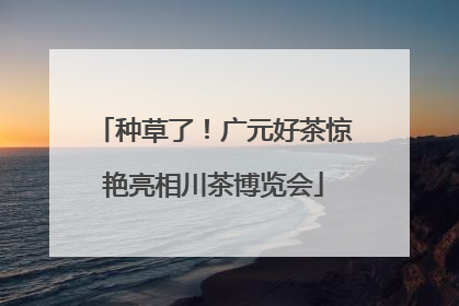 种草了！广元好茶惊艳亮相川茶博览会