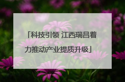 科技引领 江西瑞昌着力推动产业提质升级