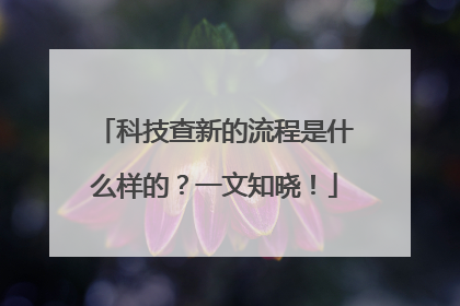 科技查新的流程是什么样的？一文知晓！