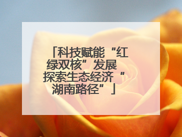 科技赋能“红绿双核”发展 探索生态经济“湖南路径”