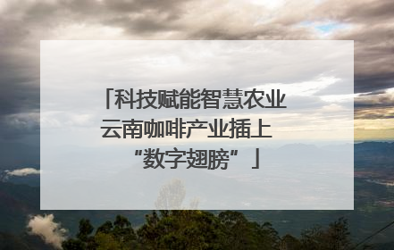 科技赋能智慧农业 云南咖啡产业插上“数字翅膀”