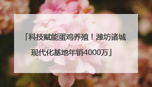 科技赋能蛋鸡养殖！潍坊诸城现代化基地年销4000万