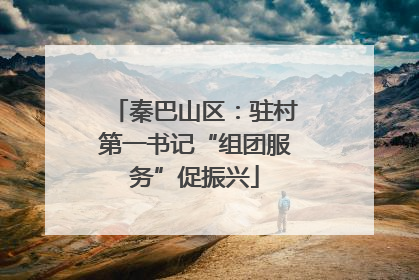 秦巴山区：驻村第一书记“组团服务”促振兴