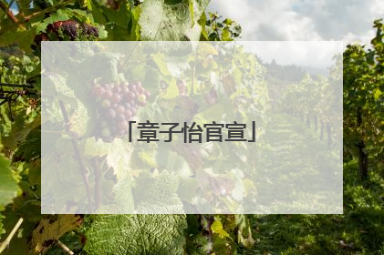 章子怡官宣