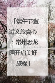 端午节邂逅文旅真心：常州恐龙园开启美好旅程