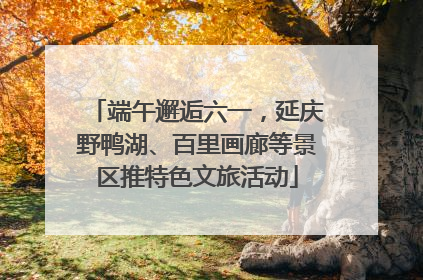 端午邂逅六一，延庆野鸭湖、百里画廊等景区推特色文旅活动
