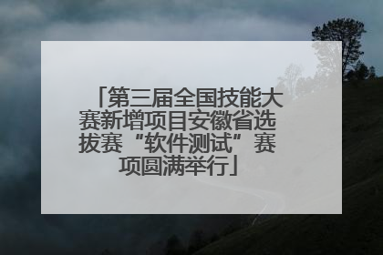 第三届全国技能大赛新增项目安徽省选拔赛“软件测试”赛项圆满举行