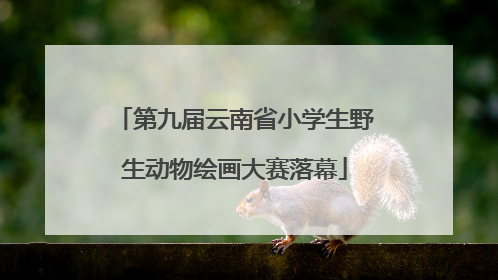 第九届云南省小学生野生动物绘画大赛落幕