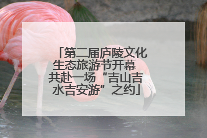 第二届庐陵文化生态旅游节开幕 共赴一场“吉山吉水吉安游”之约
