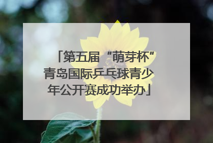 第五届“萌芽杯”青岛国际乒乓球青少年公开赛成功举办